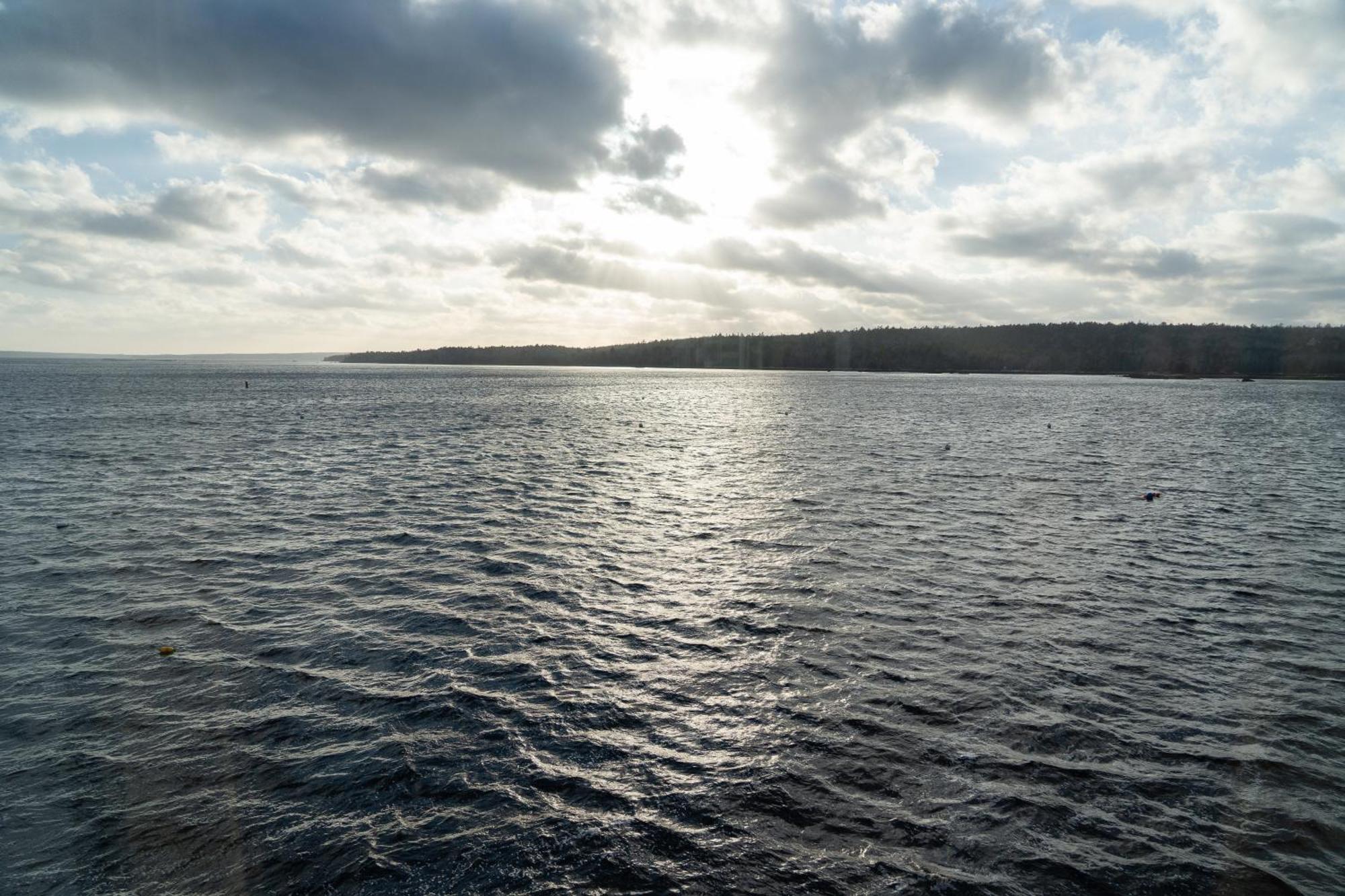 Albert'S Shelburne Bagian luar foto